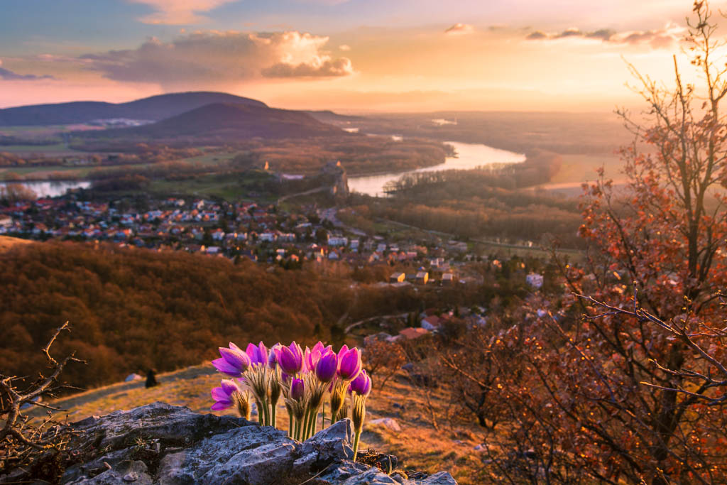 Devinska-Kobyla-Poniklece-Rekordy-Slovenska