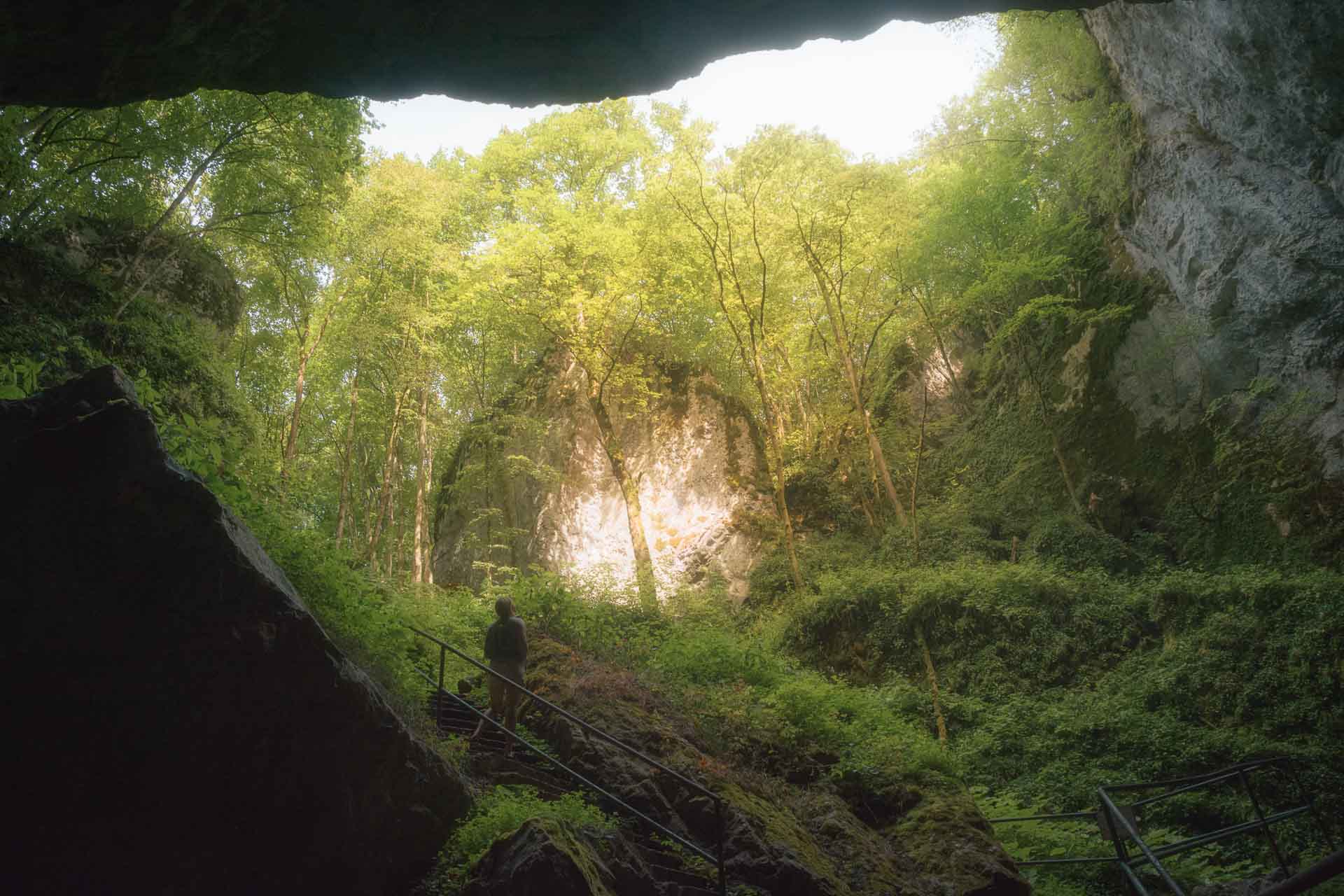 silicka-ladnica-rekordy-slovenska-profil-1