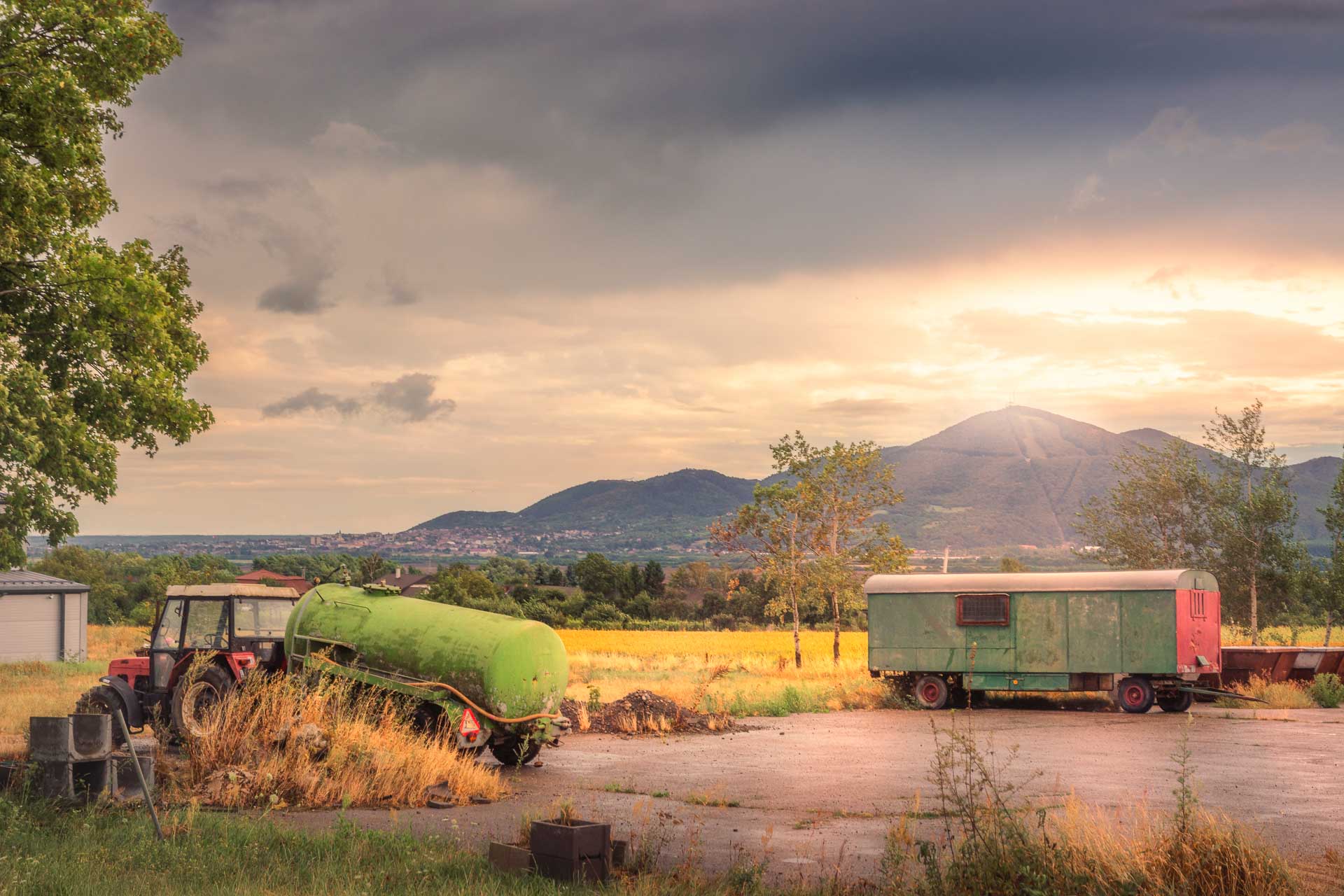 tokaj-mala-trna-rekordy-slovenska-profil